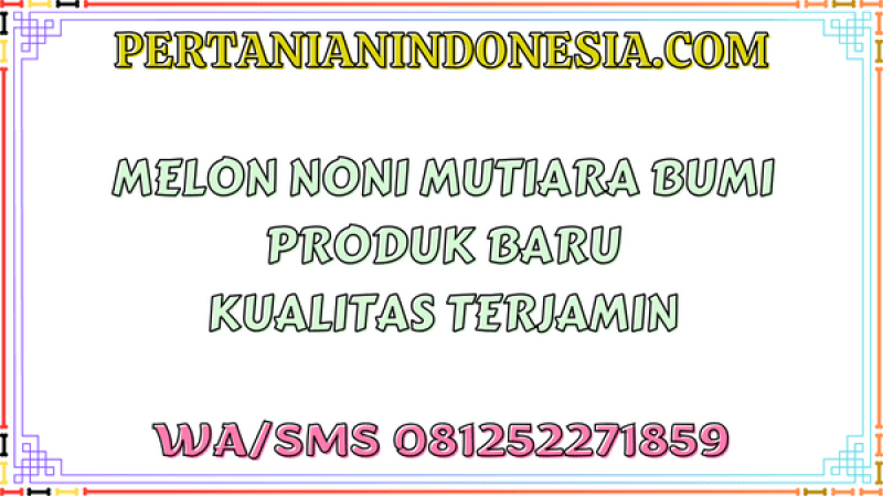 Melon Noni  Mutiara Bumi Produk Baru Kualitas Terjamin